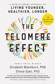 The Telomere Effect by Elizabeth Blackburn book cover.